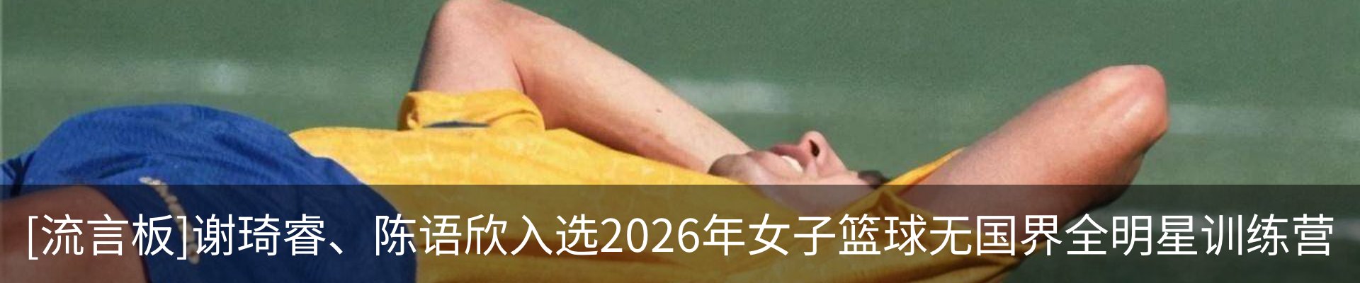 新闻动态